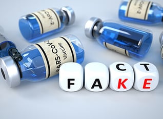 fake (1)